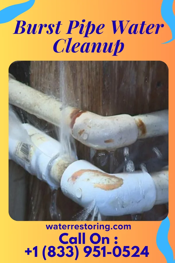 Burst Pipe Water Cleanup in Reno Beach, OH