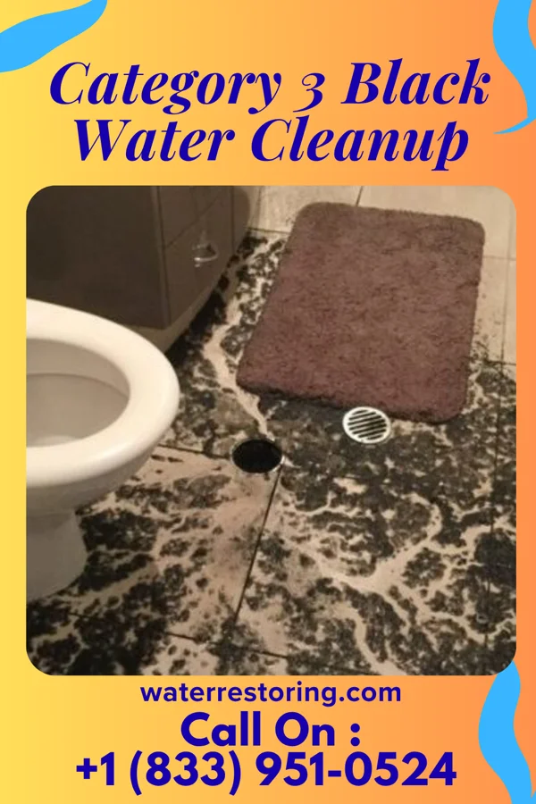 Category 3 Black Water Cleanup in Reno Beach, OH