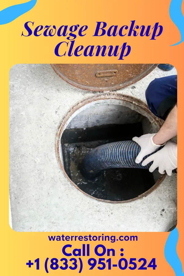 Sewage Backup Cleanup in Reno Beach, OH