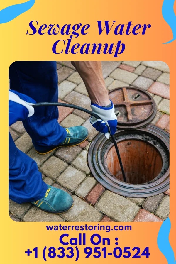 Sewage Water Cleanup in Reno Beach, OH